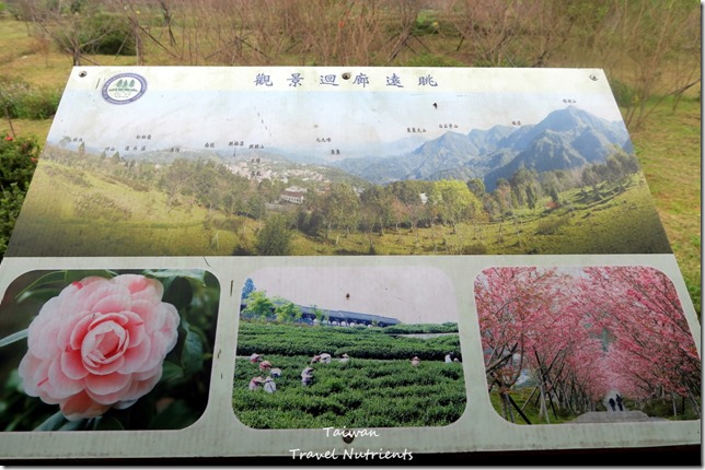 南投鹿谷 蟬說鳳凰亭序 (108)