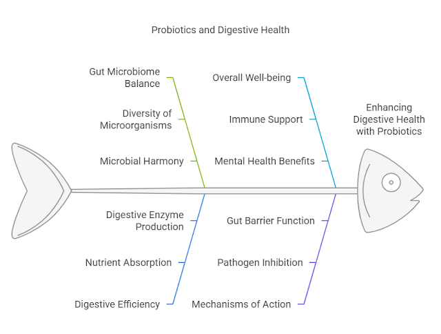 The Role of Probiotics in a Healthy Digestive System