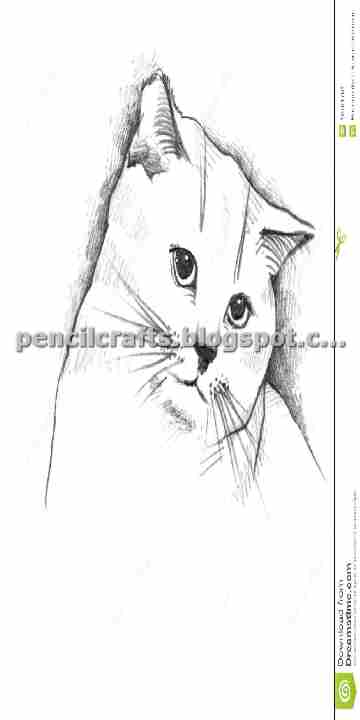 How to Make Cartoon Cat Color Pencil Drawings,Sketches