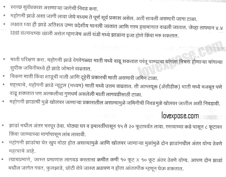 Mahogany Tree Plantation details procedure in Marathi 