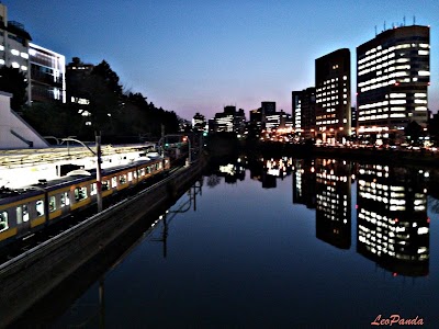 夜の水鏡