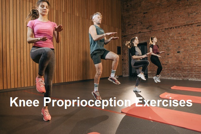 Knee Proprioception Exercises
