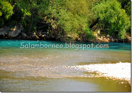 DSC_2175_Fotor