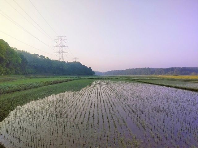 サイクリング　谷津道