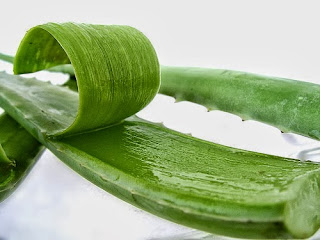 Aloe-Vera-Juice-Side-Effects