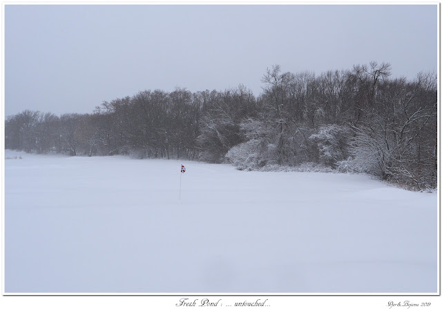 Fresh Pond: ... untouched...