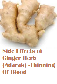 Side Effects of Ginger Herb (Adarak) -Thinning Of Blood