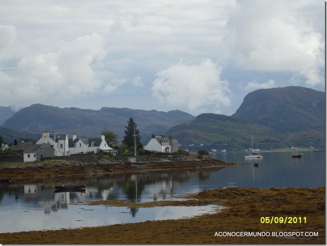Pockton-SDC14012