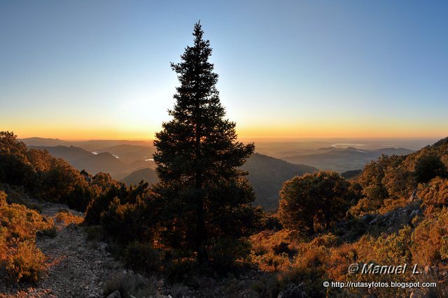 Crestería Sierra del Pinar