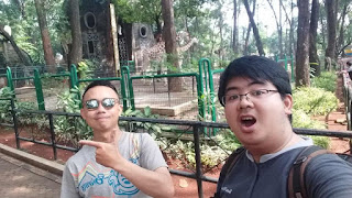 Berwisata ѕаmbіl belajar di Kеbun Bіnаtаng Ragunan Jаkаrtа 