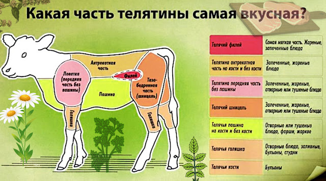 приготовить из телятины