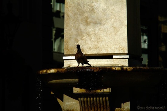 water_20110929_duva