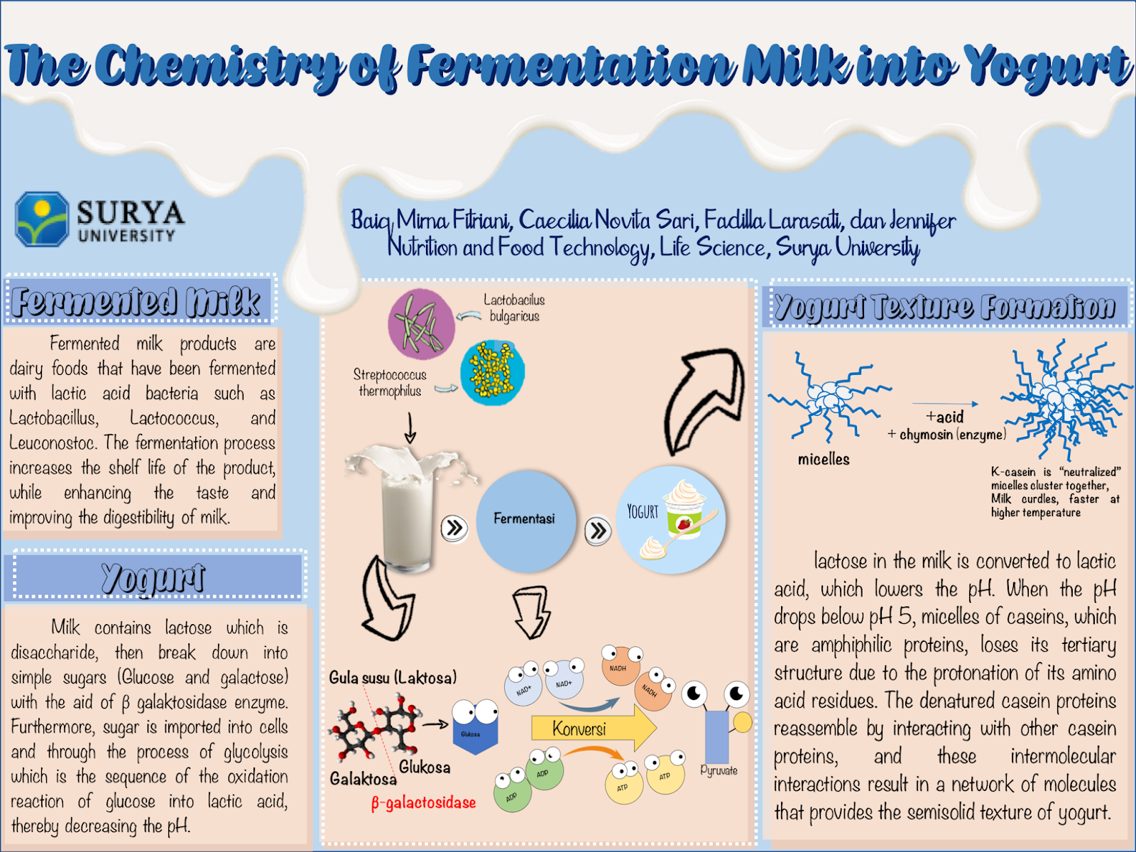 The Chemistry of Fermentation Milk into Yogurt - Poster%2Bkimia%2BDapur%2Btim%2Byogurt%2Bposting%2Bon%2BInstagram%2B