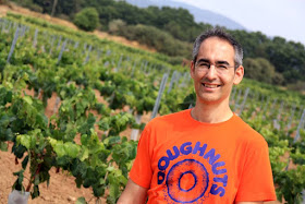 Viñedos en el Penedes