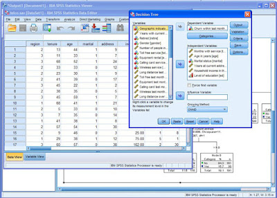 dich-vu-spss