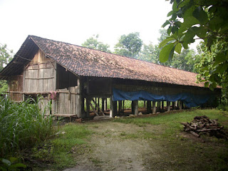 Syarat lokasi untuk pembuatan kandang ayam  Ternak Ayam  