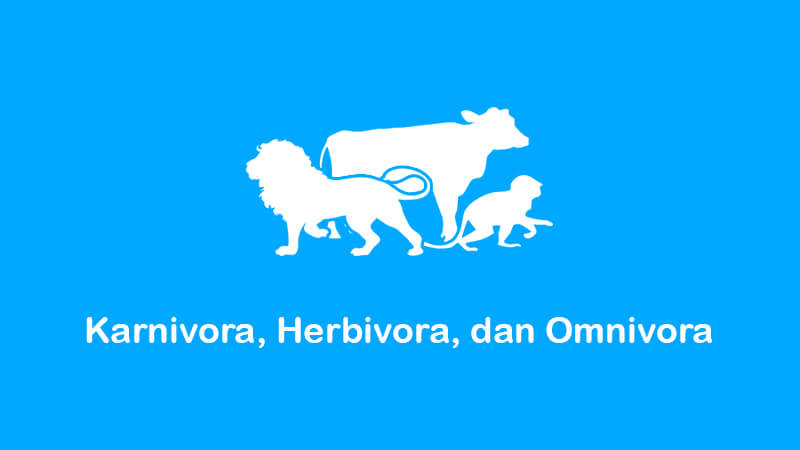 mengenal 3 jenis hewan berdasarkan makanannya: karnivora, herbivora, dan omnivora