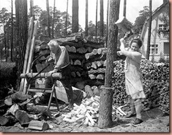 couplecuttingwood