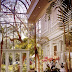 Dreamy conservatories