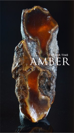 アンバー 琥珀 岩手県久慈市 Amber