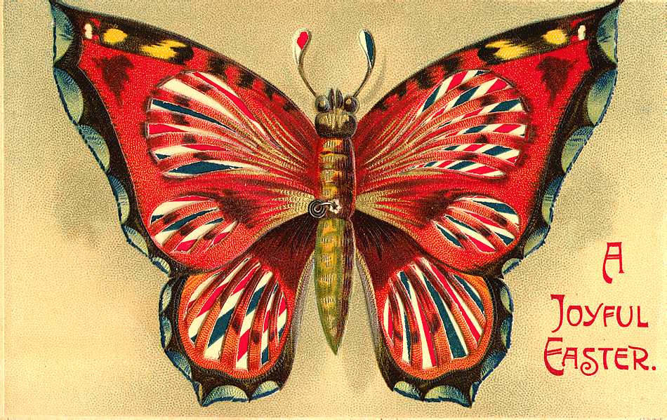 the graffical muse 5 vintage butterfly illustrations