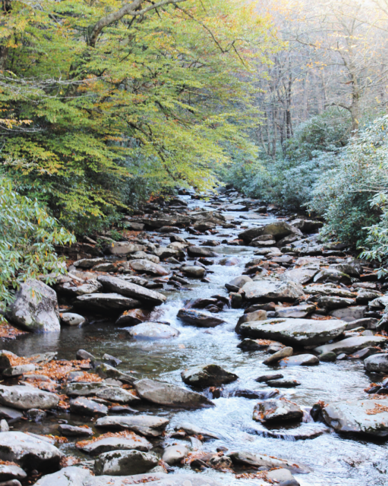 best time to visit great smoky mountain national park