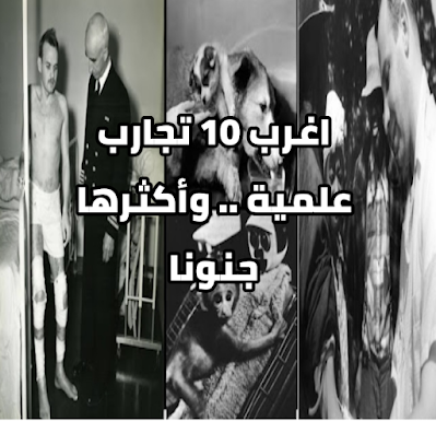 اغرب 10 تجارب علمية .. وأكثرها جنونا،تجارب علميه جنونيه،تجارب على المساجين،تجارب غير شرعيه،تجارب داخل السجون،تجارب تغيير الجنس،تجارب تهجين الحيوانات،