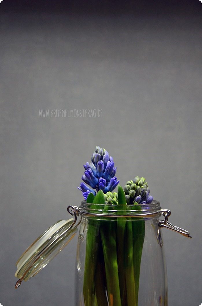 Eingemachte Stinkerlis (01)