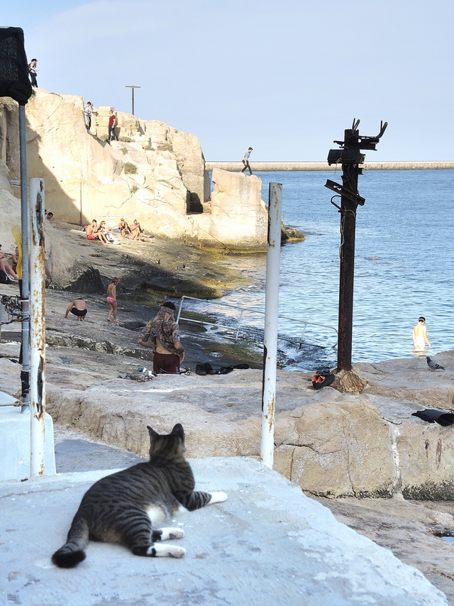 Malta: een vissersdorpje vol met katten