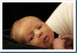 Baby Riley