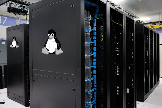 Linux Reseller Hosting, Web Hosting, Web Hosting Reviews, Web Hosting Guides