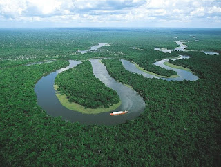 facts about The Amazon rain-forest 