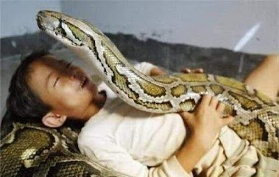 Unusual Pet-Snake