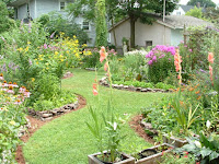 Backyard Bird Habitat