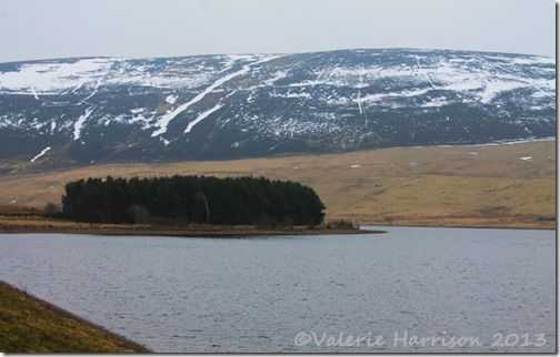 86-thriepmuir
