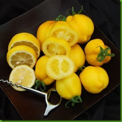 TO LEMON TREE