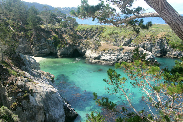 Point Lobos State Reserve, China Cove, nature photography