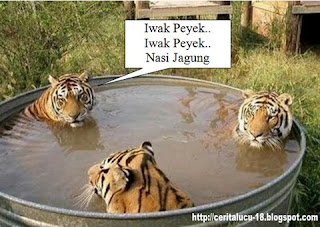 Trio Macan - Iwak Peyek - Mandi Version