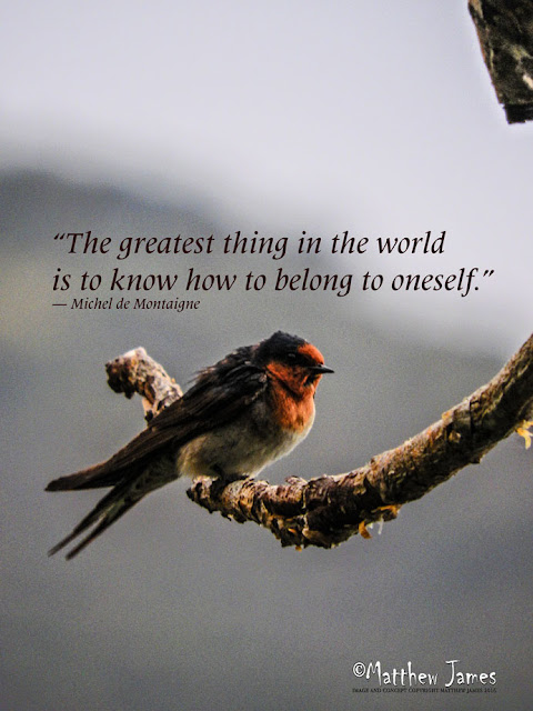 'The greatest thing in the world is to know how to belong to oneself' - Michel de Montaigne