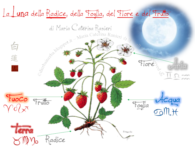 L’Influenza della Luna 月 sull’Alimentazione e sul Dimagramento - di Maria Caterina Ranieri