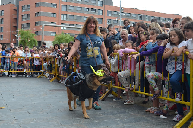 Comienzan las fiestas de Desierto