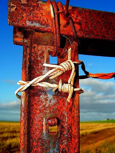 best photos 2 share: Remarkable Pictures of Rust