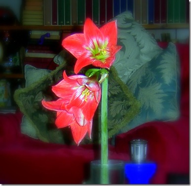 DSCN6377