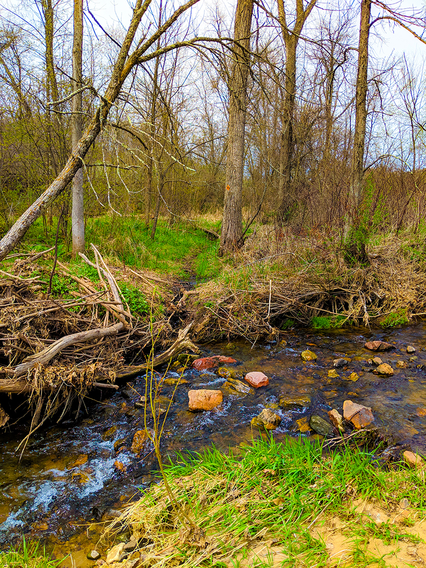 A hiking trail crossing a narrow area of Honey Creek