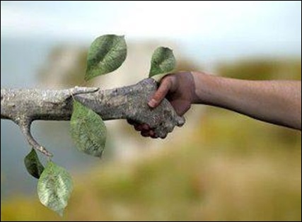 be gentle to trees