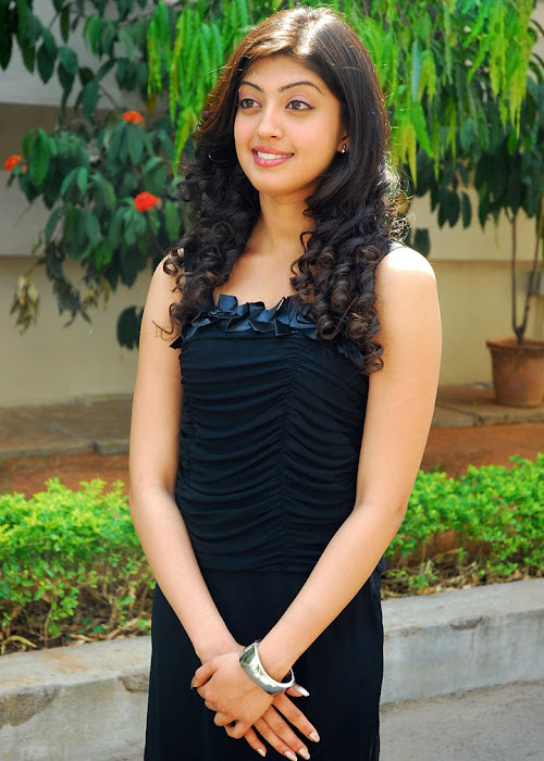 praneetha exclusivie telungu movie bava praneetha cute stills