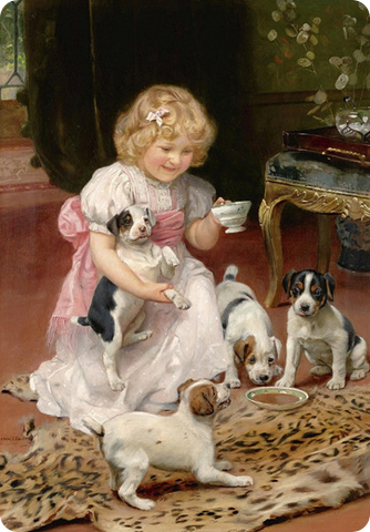 puppy teaparty