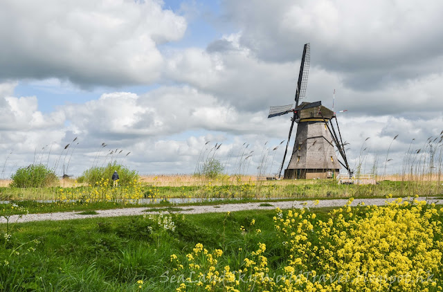 小孩提防Kinderdjik, 荷蘭 Holland, netherlands