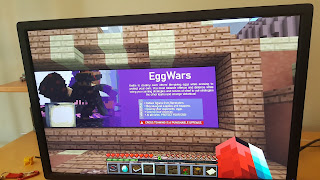 Minecraft Egg War Solo or Team