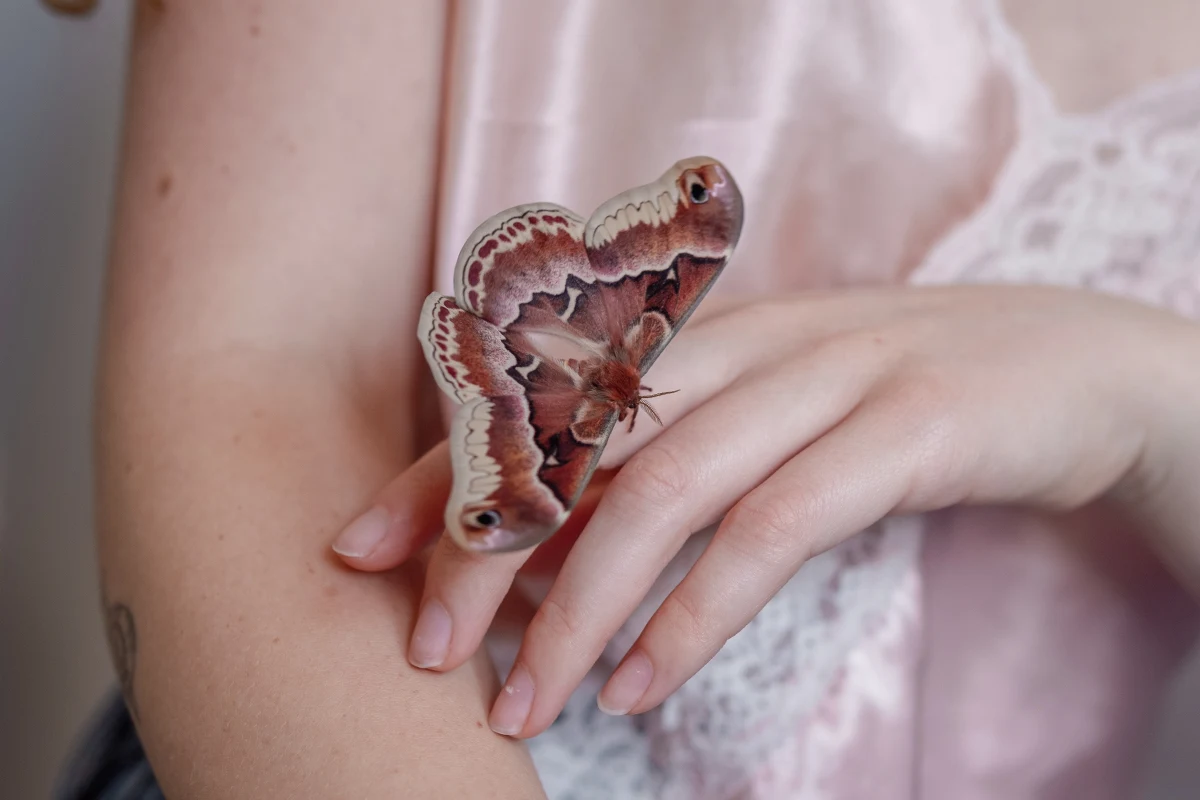 close-up of womans skin with a beautiful butterfly sitting on it